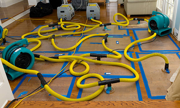 Professional Crawl Space Water Removal technician working in Spofford, NH